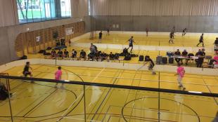 In Bäretswil die Steinböcke bezwungen