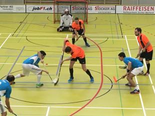 8:4 Sieg gegen Wild Goose...