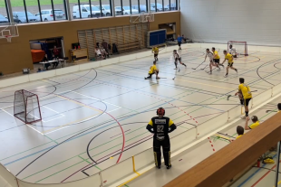 Resultatkosmetik zum 4:8 mit Ehrenspergers Empty-Netter