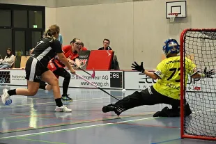 Fehlgeschlagener Angriff der Vipers.